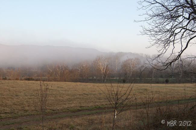 DSC_6434-38.jpg