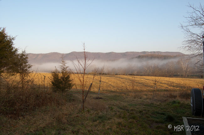 DSC_6443-47.jpg