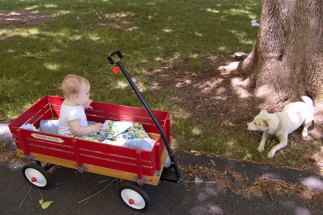 Doggie_and_the_Baby20100515.jpg