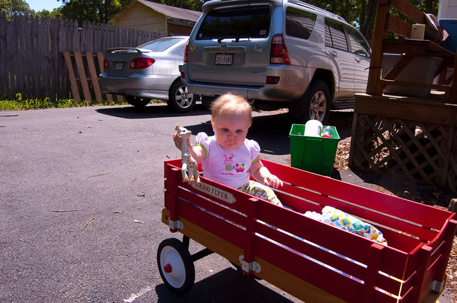 Red_Wagon20100515.jpg