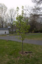 20100403-2.jpg