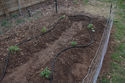 20100403-3.jpg
