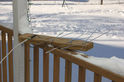20100403.jpg