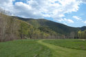 20100416-2.jpg