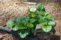 20100501.jpg