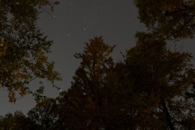Night Photography
with the new Nikon
Keywords: photography