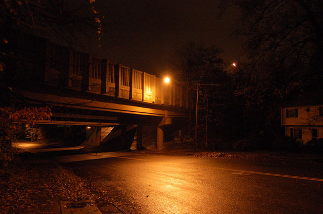 Williamsburg Ave. Metro Bridge
