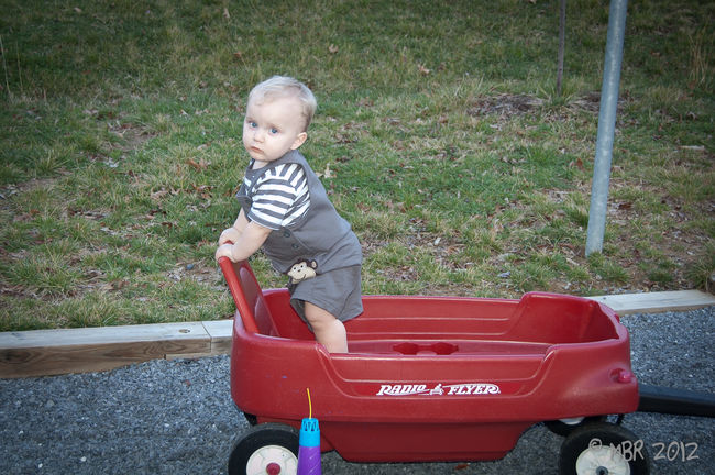 Declan in the wagon 
at Shenandoah River State Park
