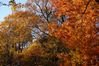 DSC_0266edit.jpg