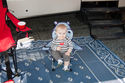 DSC_6365-1.jpg