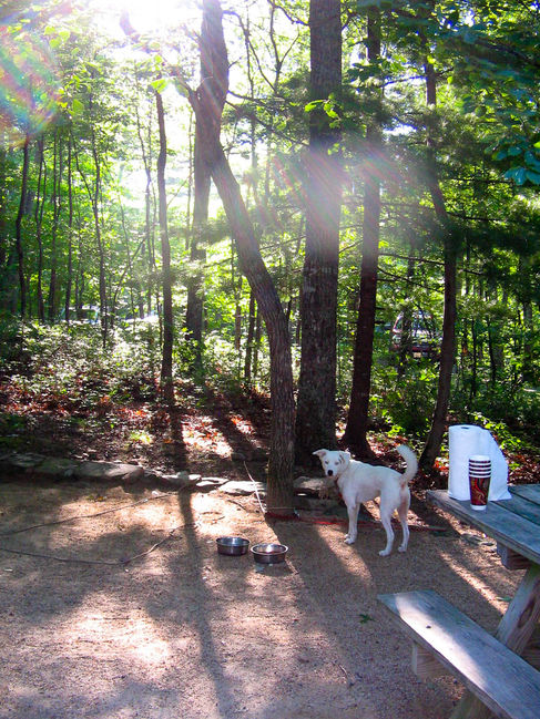 Cutie at Camp
Sherando Lake July 2010
