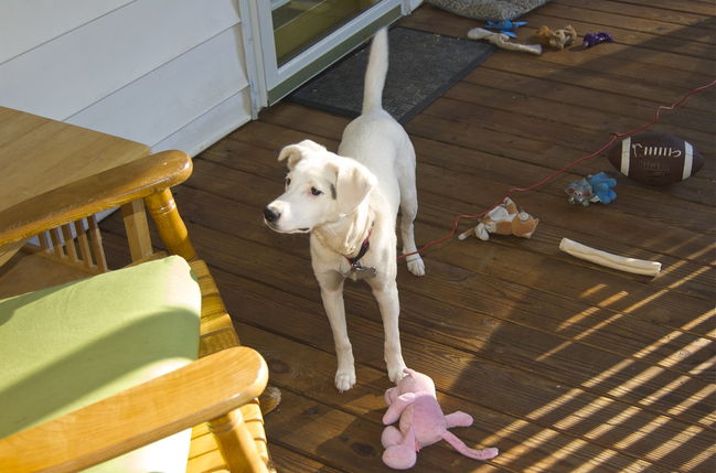 DSC_9113.jpg