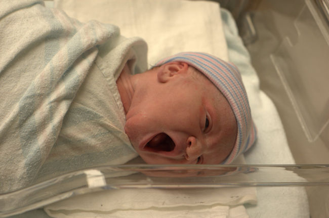 Baby Leia
