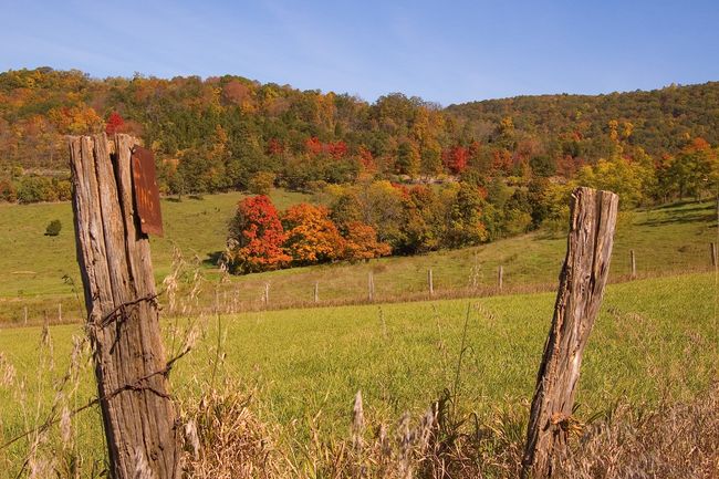 Fall Foliage
Hampshire County, WV
Keywords: 2008