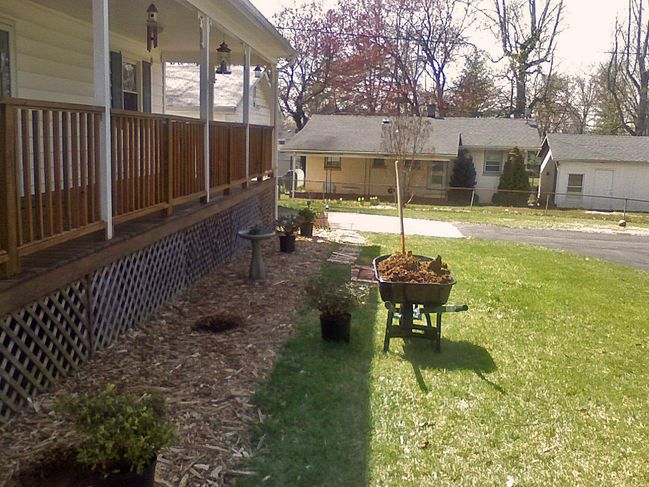 Putting in some azaleas
Keywords: house garden
