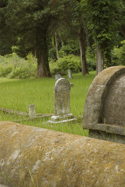 Tombstone in Logansport
Cemetery in Logansport, LA
