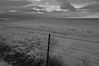 DSC_0646edit-w1800q85.jpg