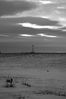 DSC_0659edit-w1800q85.jpg