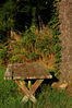 table-tree.jpg