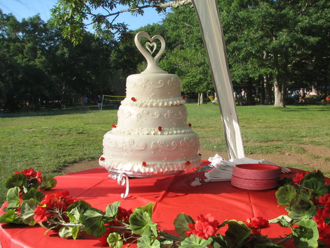 Wedding Cake
Wedding Day August 5, 2006
Big Meadows Campground
Shenandoah National Park, VA
