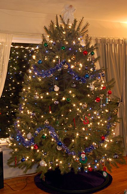 Our misshapen Christmas Tree
Keywords: Christmas