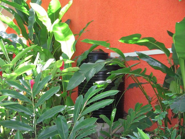 some rain thing mike really thought was cool....
on the honeymoon of course, this was on the side of our home away from home
