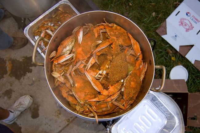 The crab pot
2007 Crab Feast
Keywords: crab2007