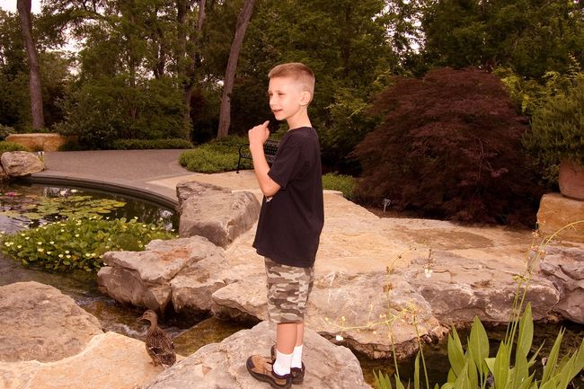 James at the Dallas Arboretum
June 2007
Keywords: James Arboretum