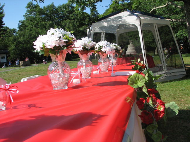 The Wedding Table
Wedding Day
August 5, 2006
Big Meadows Campground
Shenandoah National Park
Keywords: wedding table