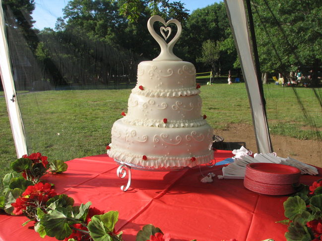 Wedding Cake
Wedding Day August 5, 2006
Big Meadows Campground
Shenandoah National Park, VA
Keywords: Wedding cake